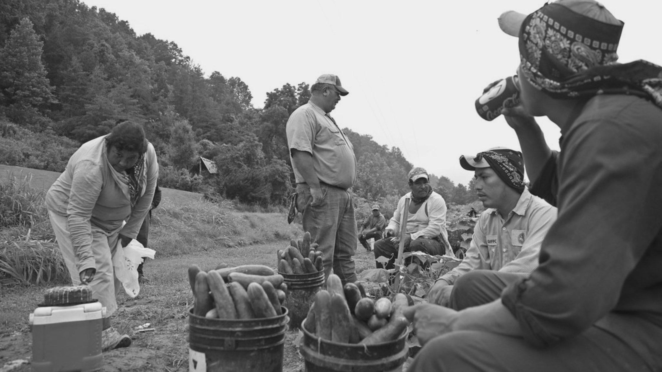 All Workers Have Rights | Todos los Trabajadores Tienen Derechos